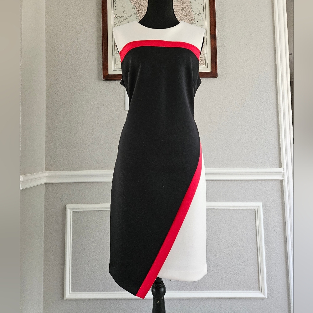 Elegant Black and White Dress with Red Accents